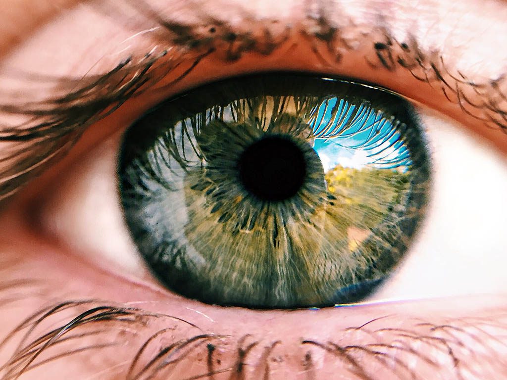 Jouw-ogen-verraden ogen en hooikoorts